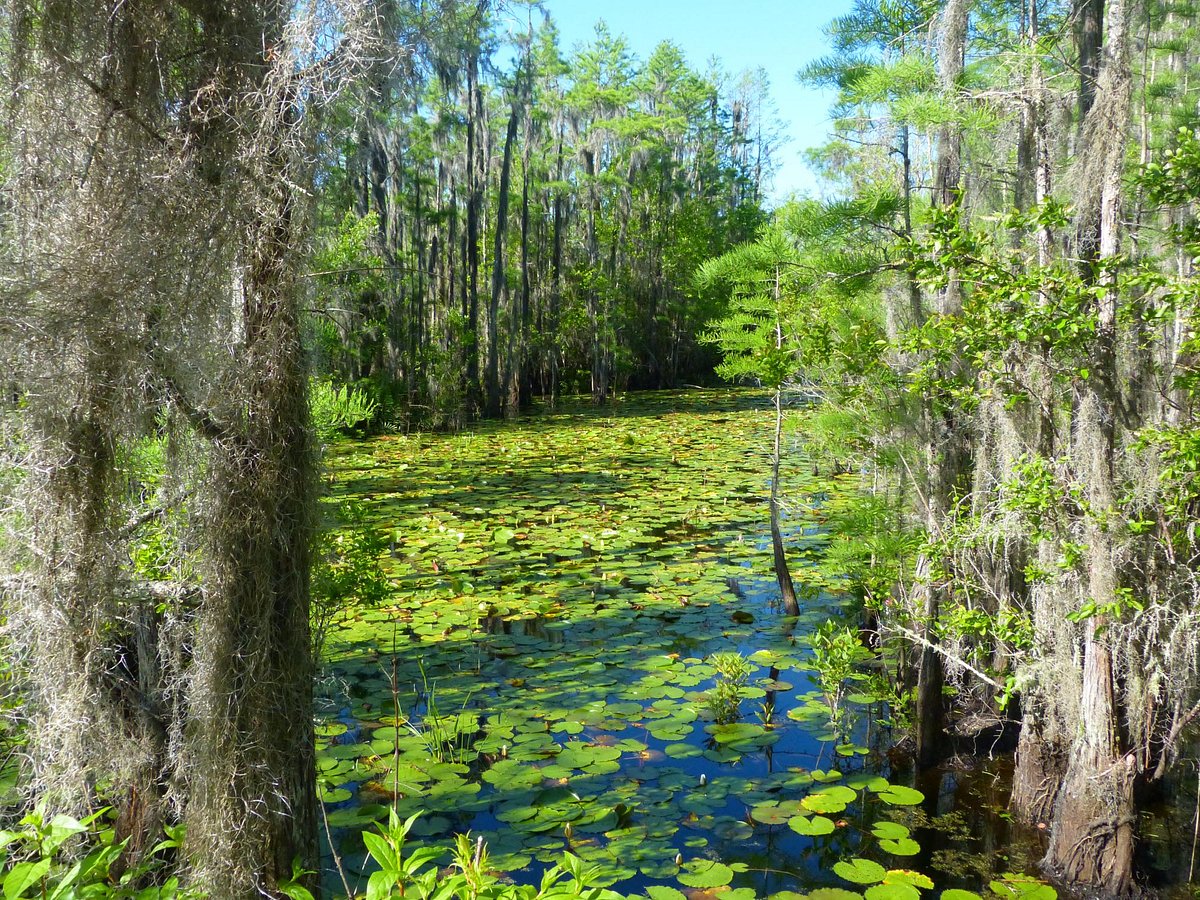 Grand Bay WMA